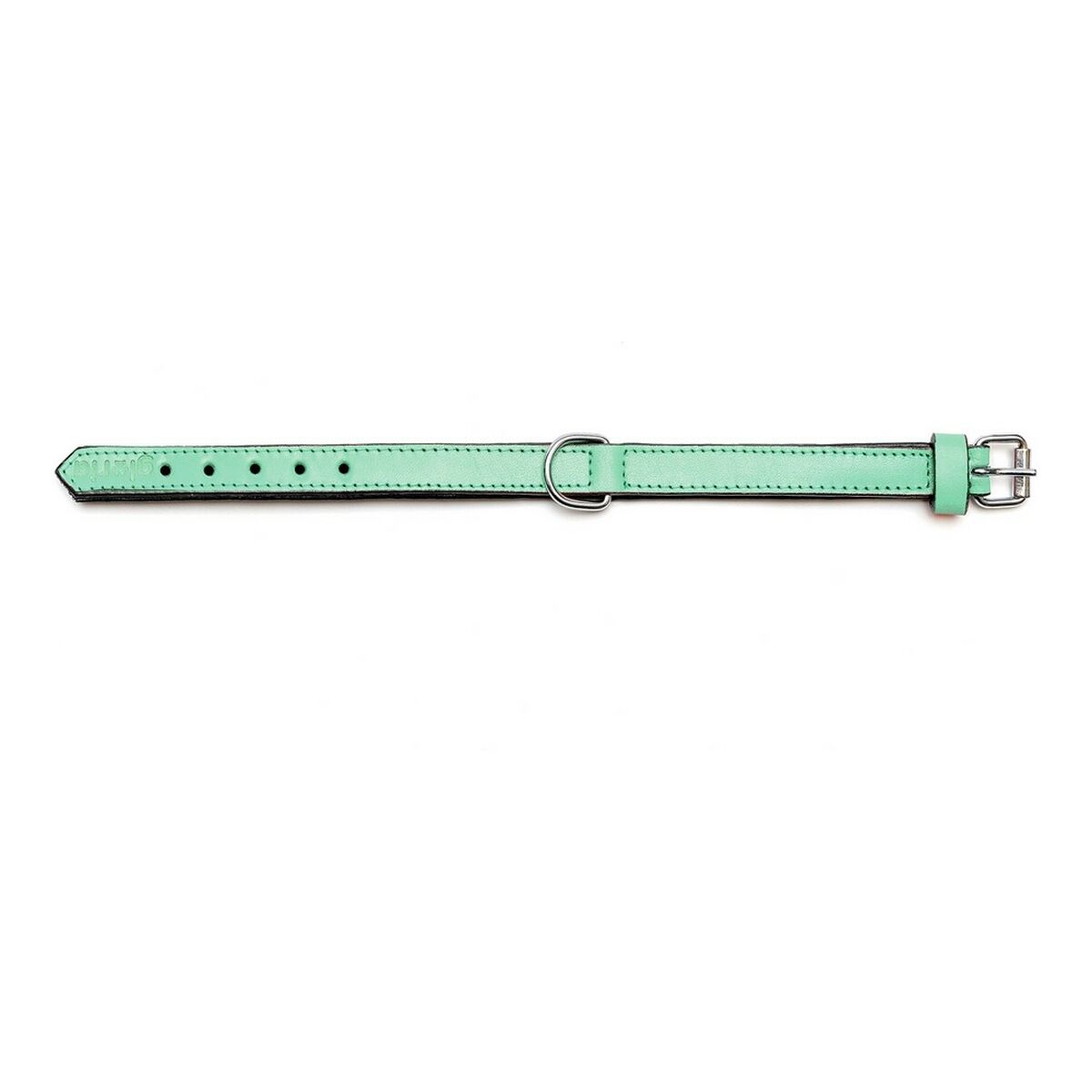 Collar para Perro Gloria Acolchado Verde (35 x 1,5 cm)